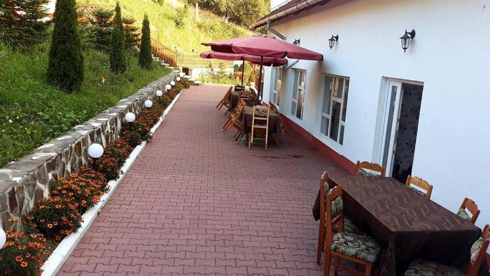 Pensiunea Tinelu Brasov Săcele Dış mekan fotoğraf