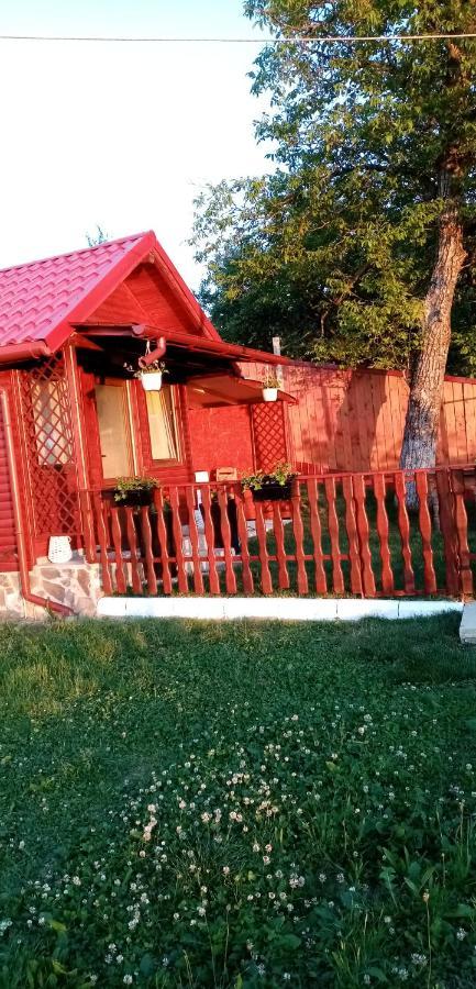 Pensiunea Tinelu Brasov Săcele Dış mekan fotoğraf