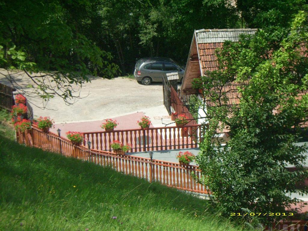 Pensiunea Tinelu Brasov Săcele Dış mekan fotoğraf